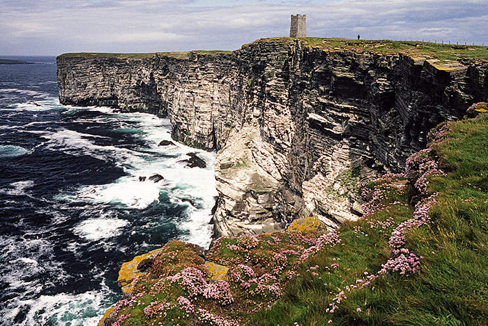 Marwick Head RSPB reserve, Orkney.